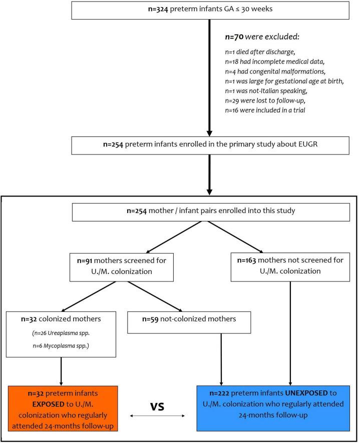 https://cdn.ncbi.nlm.nih.gov/pmc/blobs/8dfc/9420904/255017481fc7/fped-10-893812-g001.jpg