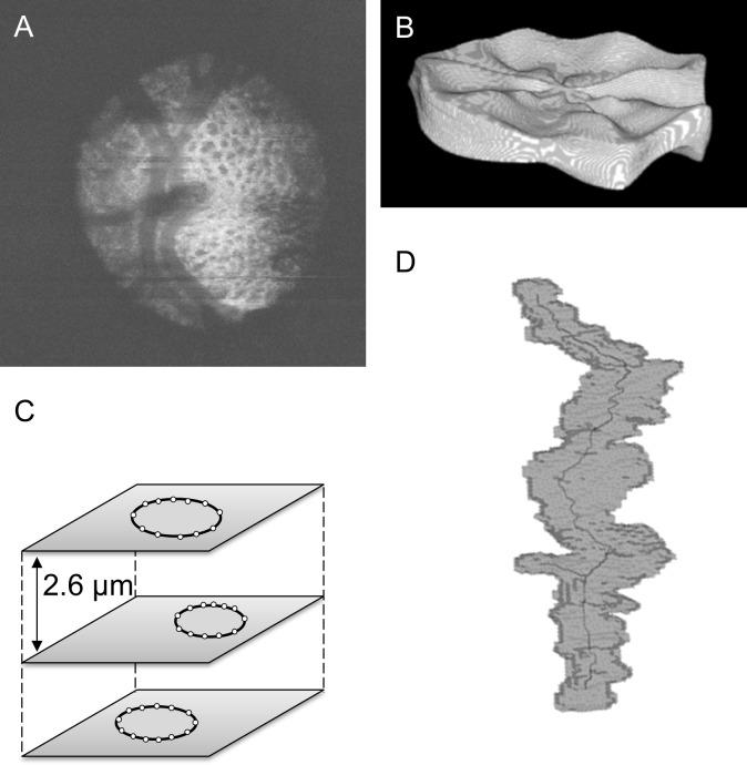 https://cdn.ncbi.nlm.nih.gov/pmc/blobs/8dff/6248986/8259f648d917/pone.0207600.g001.jpg