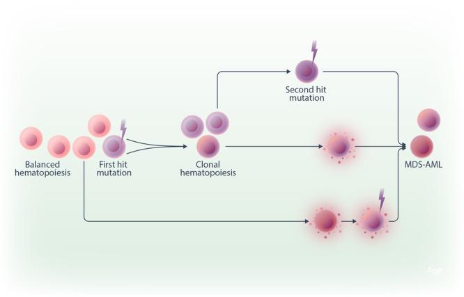 https://cdn.ncbi.nlm.nih.gov/pmc/blobs/8e00/12348887/0b15d2fbc830/HEM3-9-e70188-g003.jpg
