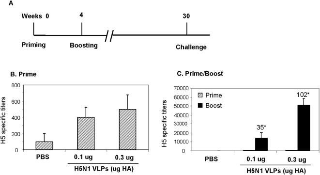 https://cdn.ncbi.nlm.nih.gov/pmc/blobs/8e00/2646145/ab03223dc7ac/pone.0004667.g002.jpg