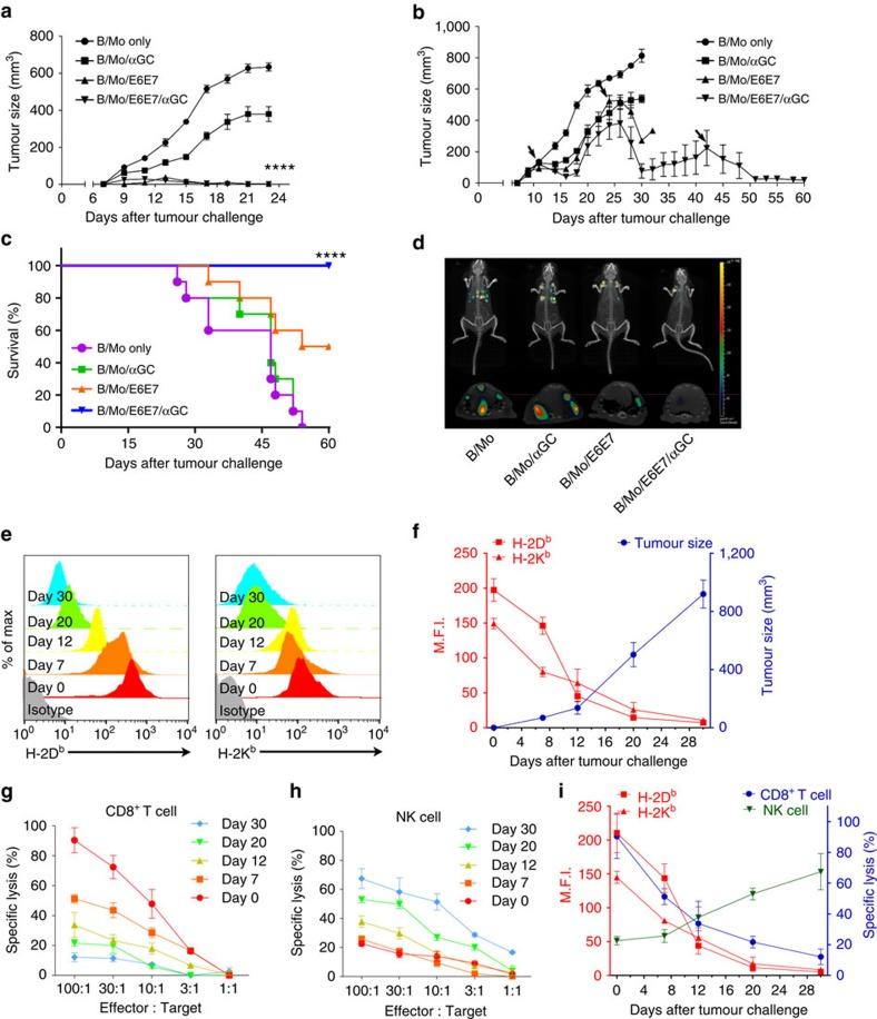 https://cdn.ncbi.nlm.nih.gov/pmc/blobs/8e00/5467212/1a6539e6026b/ncomms15776-f1.jpg