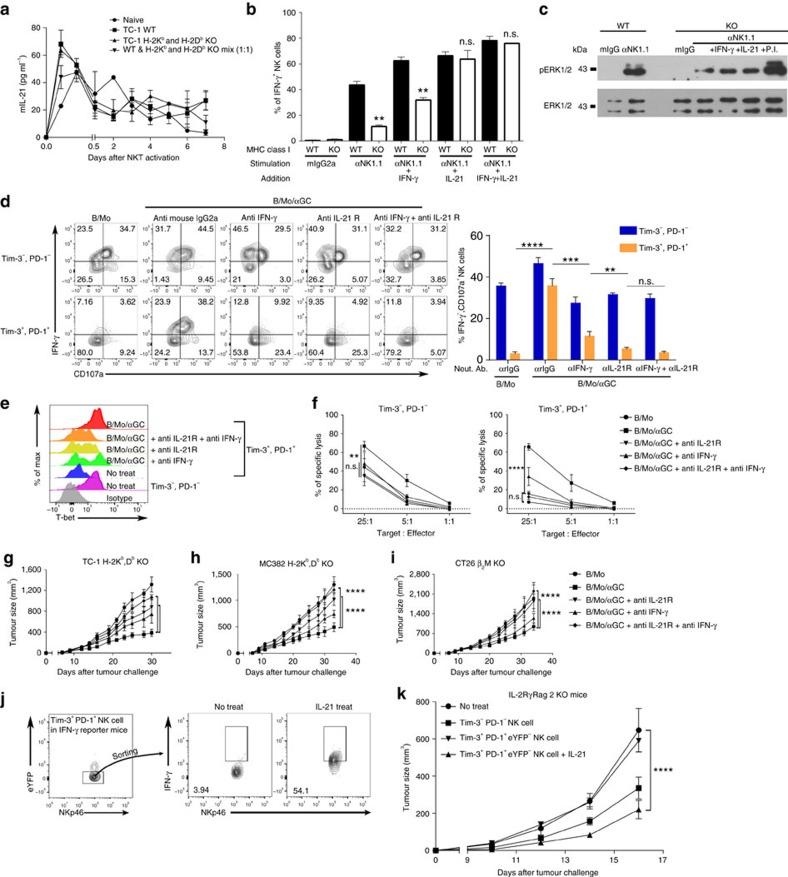 https://cdn.ncbi.nlm.nih.gov/pmc/blobs/8e00/5467212/32c237b4af12/ncomms15776-f5.jpg