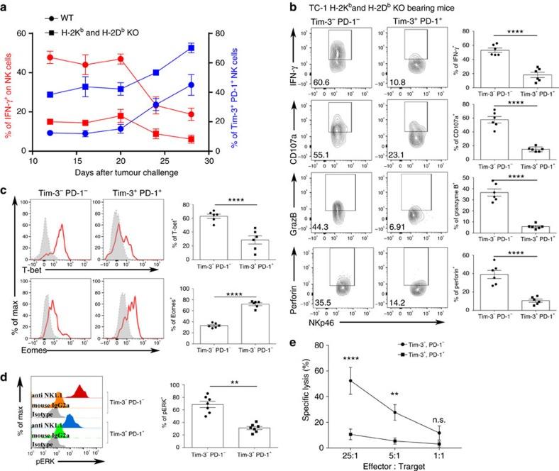 https://cdn.ncbi.nlm.nih.gov/pmc/blobs/8e00/5467212/ed1743c991c3/ncomms15776-f4.jpg