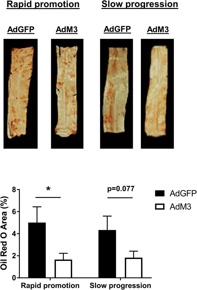 https://cdn.ncbi.nlm.nih.gov/pmc/blobs/8e01/5345809/7daec0a0ae03/pone.0173224.g007.jpg