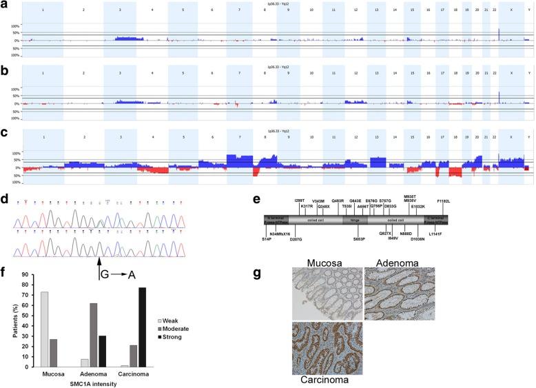 https://cdn.ncbi.nlm.nih.gov/pmc/blobs/8e02/6397456/844e781fbe8c/13046_2019_1116_Fig1_HTML.jpg