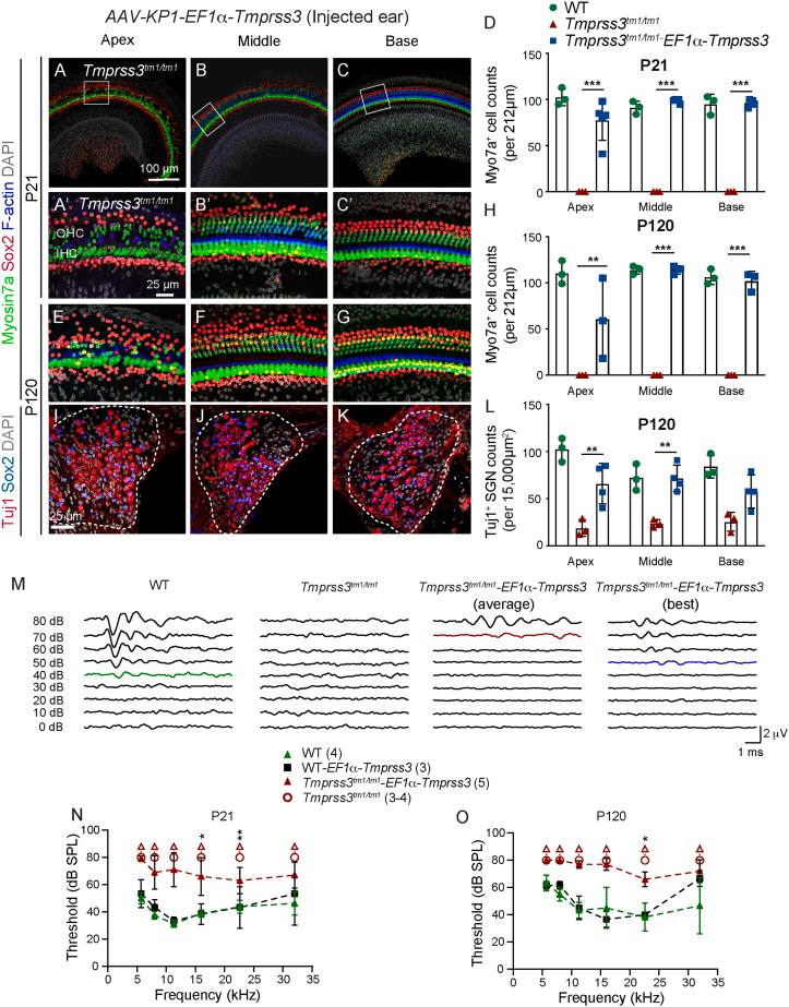 https://cdn.ncbi.nlm.nih.gov/pmc/blobs/8e03/10471831/3dead412eece/gr5.jpg