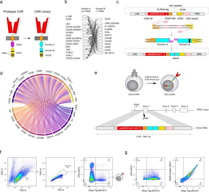 https://cdn.ncbi.nlm.nih.gov/pmc/blobs/8e05/9630321/7dc19a6a374b/41467_2022_34141_Fig1_HTML.jpg