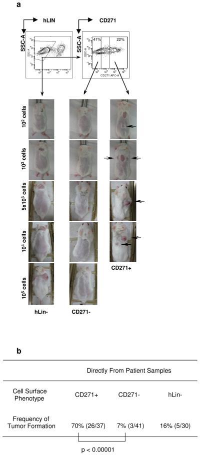 https://cdn.ncbi.nlm.nih.gov/pmc/blobs/8e08/2898751/5f23f7c176bf/nihms-203139-f0001.jpg