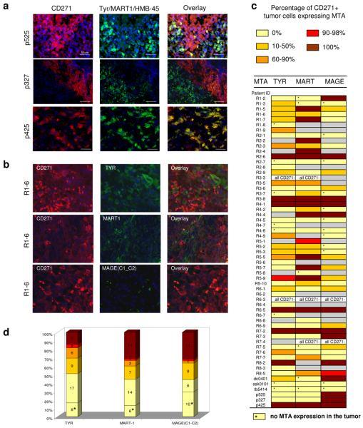 https://cdn.ncbi.nlm.nih.gov/pmc/blobs/8e08/2898751/96ab5025cf95/nihms-203139-f0003.jpg