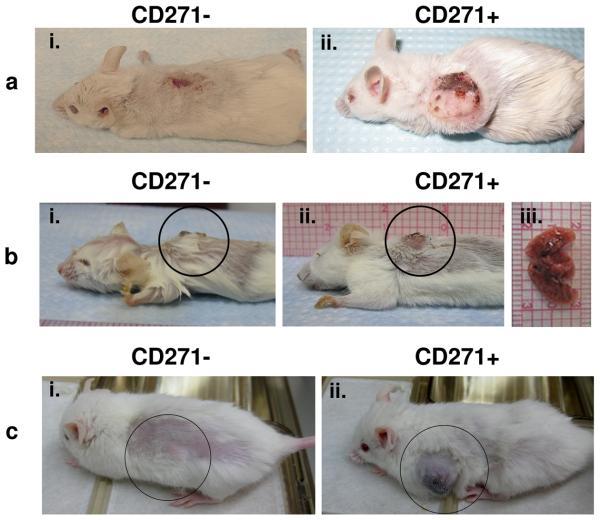 https://cdn.ncbi.nlm.nih.gov/pmc/blobs/8e08/2898751/e87eba0f2750/nihms-203139-f0002.jpg