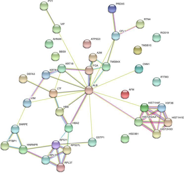 https://cdn.ncbi.nlm.nih.gov/pmc/blobs/8e09/10186523/42f89d9e7ee0/jgo-14-02-705-f4.jpg