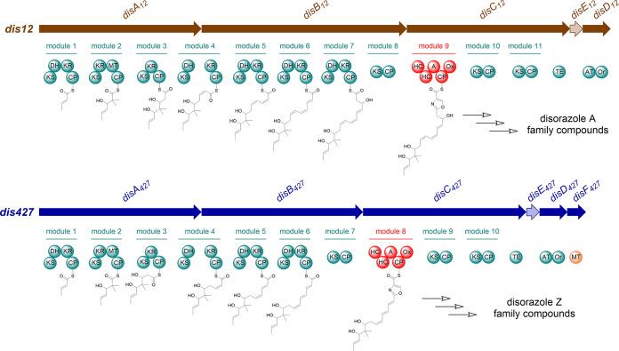 https://cdn.ncbi.nlm.nih.gov/pmc/blobs/8e0a/10434194/d9f02d5d995d/spectrum.00730-23-f003.jpg