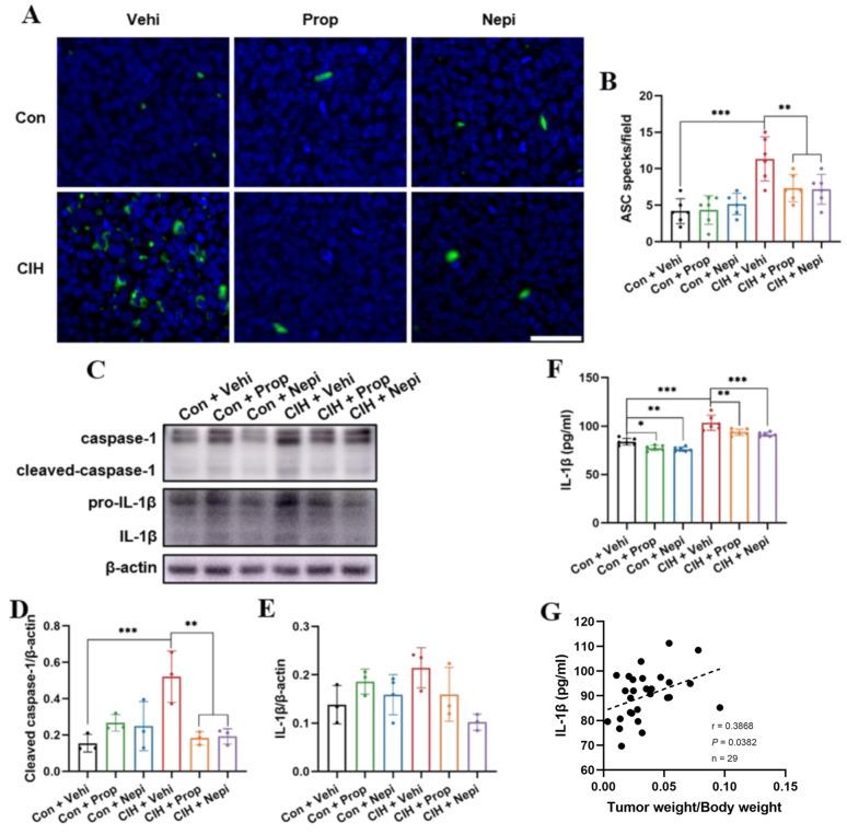 https://cdn.ncbi.nlm.nih.gov/pmc/blobs/8e0a/11439201/03d348e4b21b/12931_2024_2969_Fig4_HTML.jpg