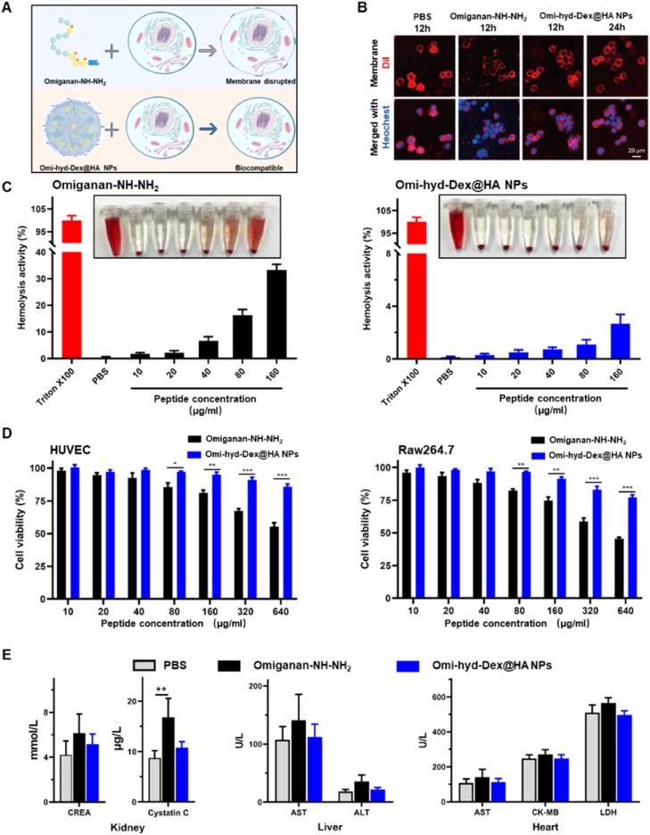 https://cdn.ncbi.nlm.nih.gov/pmc/blobs/8e0b/10755722/25c4b5184ec5/gr2.jpg