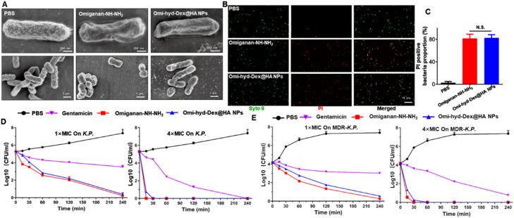 https://cdn.ncbi.nlm.nih.gov/pmc/blobs/8e0b/10755722/daa265e58222/gr4.jpg