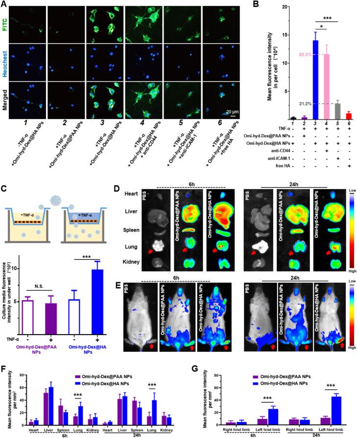 https://cdn.ncbi.nlm.nih.gov/pmc/blobs/8e0b/10755722/ea3a17c40829/gr3.jpg