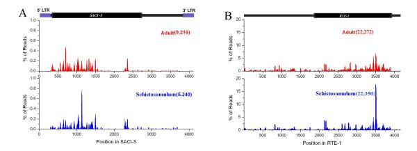 https://cdn.ncbi.nlm.nih.gov/pmc/blobs/8e0c/2820009/16f1eb7dedf6/1471-2164-11-55-2.jpg