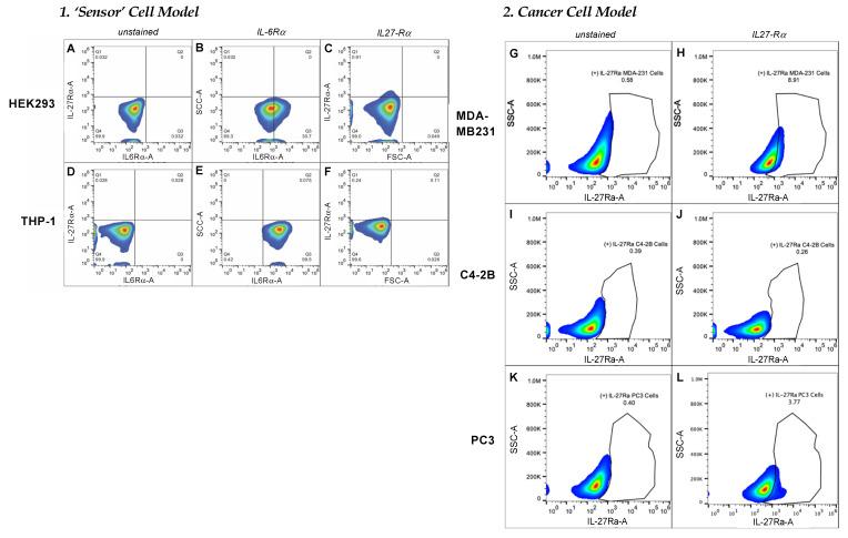 https://cdn.ncbi.nlm.nih.gov/pmc/blobs/8e0d/8868604/737f0f3bae9f/bioengineering-09-00077-g004.jpg