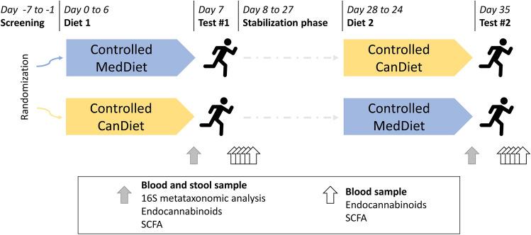https://cdn.ncbi.nlm.nih.gov/pmc/blobs/8e0e/9122896/1adb83597c1f/41598_2022_10757_Fig1_HTML.jpg