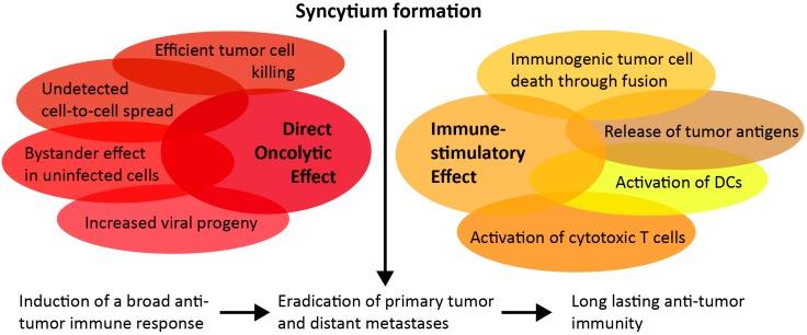 https://cdn.ncbi.nlm.nih.gov/pmc/blobs/8e10/6070779/168d2b5014b6/cancers-10-00216-g001.jpg