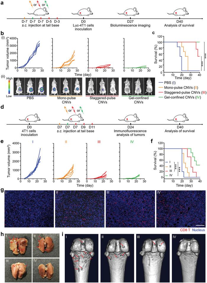 https://cdn.ncbi.nlm.nih.gov/pmc/blobs/8e10/7539204/8bb0f26efee2/ADVS-7-2001108-g004.jpg