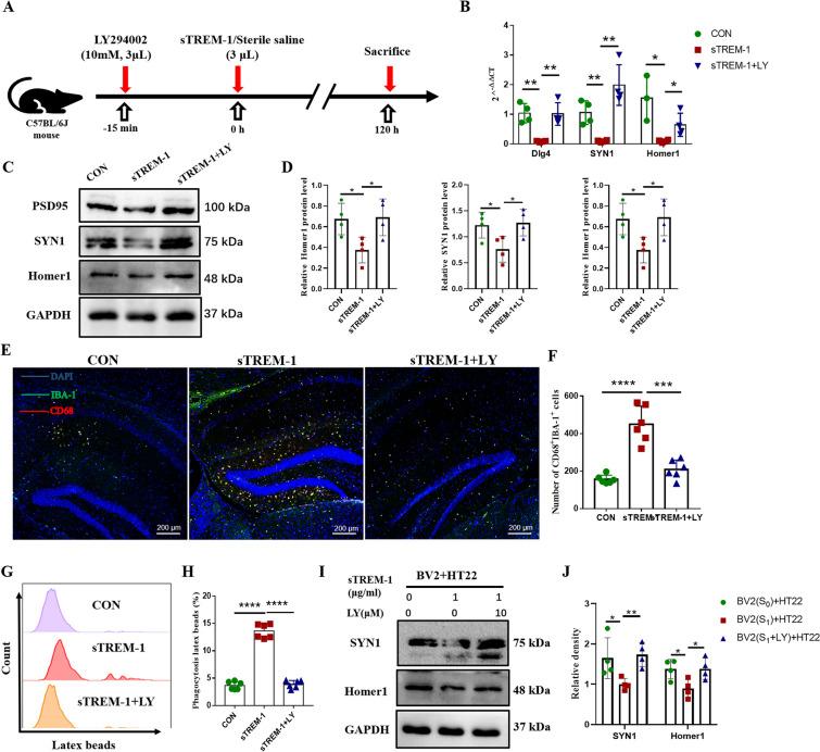 https://cdn.ncbi.nlm.nih.gov/pmc/blobs/8e12/9054830/a91a3591284f/41598_2022_10973_Fig7_HTML.jpg