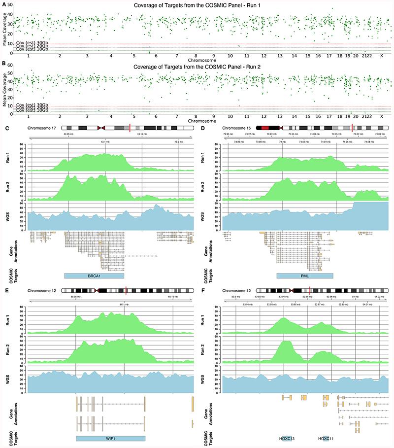 https://cdn.ncbi.nlm.nih.gov/pmc/blobs/8e13/7610616/d8ac7a929e07/EMS118410-f005.jpg