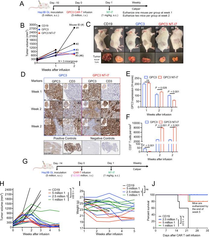 https://cdn.ncbi.nlm.nih.gov/pmc/blobs/8e14/11268061/9da07df581eb/jitc-12-7-g005.jpg