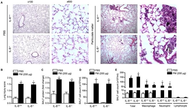https://cdn.ncbi.nlm.nih.gov/pmc/blobs/8e15/3073968/13b84bee8716/pone.0018525.g004.jpg