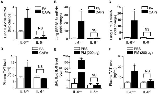 https://cdn.ncbi.nlm.nih.gov/pmc/blobs/8e15/3073968/a5bf8831dd47/pone.0018525.g002.jpg