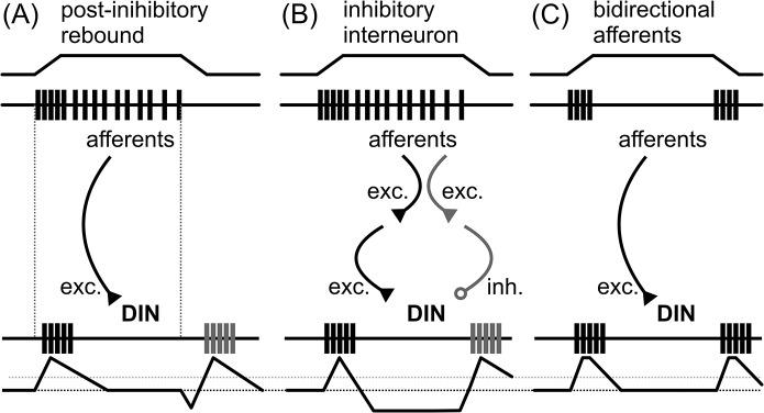 https://cdn.ncbi.nlm.nih.gov/pmc/blobs/8e15/4497639/9bb79a56d01d/pcbi.1004263.g010.jpg