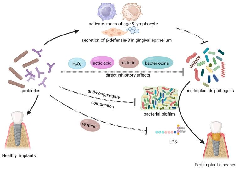 https://cdn.ncbi.nlm.nih.gov/pmc/blobs/8e16/10383117/e3836c8058dc/microorganisms-11-01845-g003.jpg