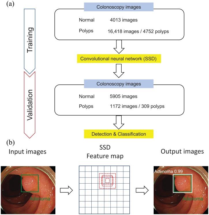 https://cdn.ncbi.nlm.nih.gov/pmc/blobs/8e17/7092386/d23bcd14e0c1/10.1177_1756284820910659-fig1.jpg