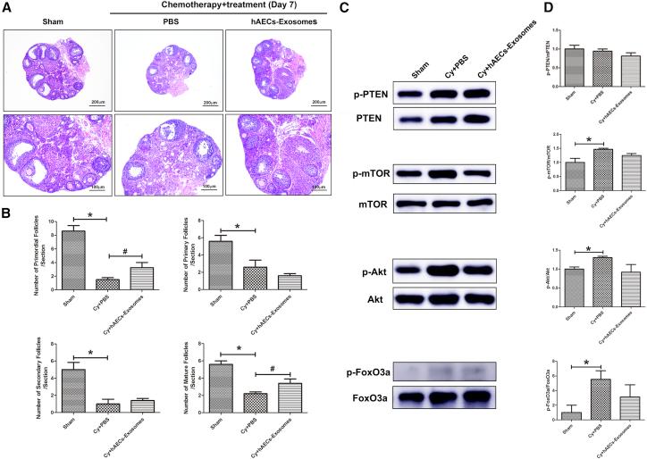 https://cdn.ncbi.nlm.nih.gov/pmc/blobs/8e1a/6479666/20ef12e848d4/gr4.jpg