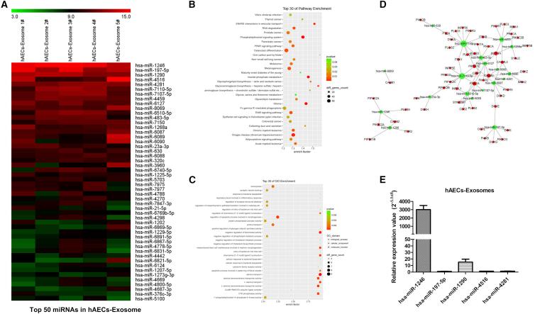 https://cdn.ncbi.nlm.nih.gov/pmc/blobs/8e1a/6479666/8bb9f21f7c72/gr5.jpg