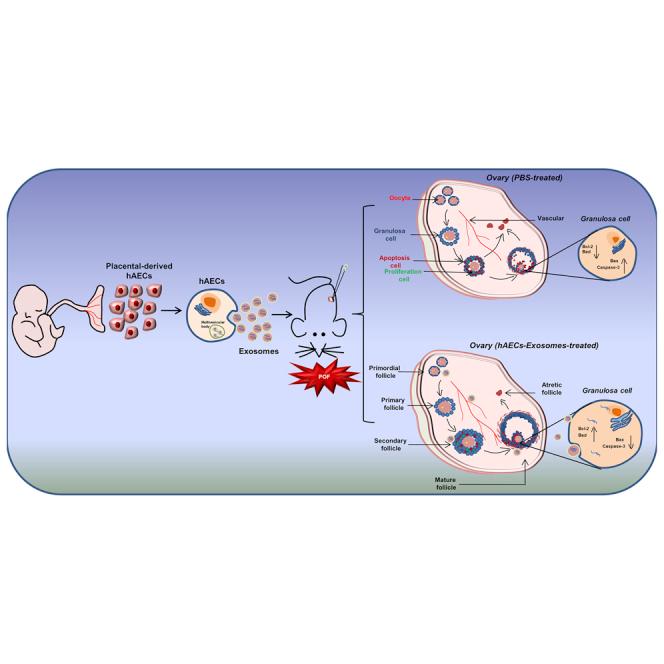 https://cdn.ncbi.nlm.nih.gov/pmc/blobs/8e1a/6479666/a45be3af2ad6/fx1.jpg