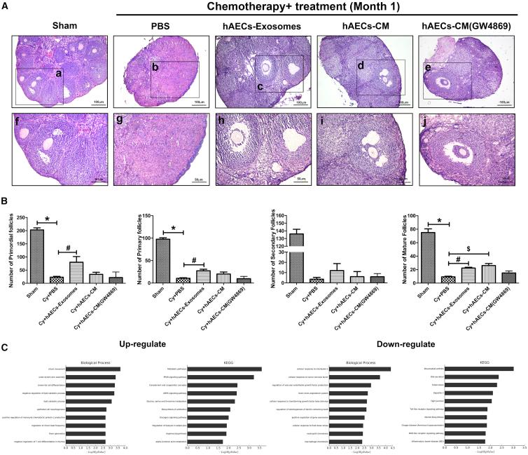https://cdn.ncbi.nlm.nih.gov/pmc/blobs/8e1a/6479666/d358d4c7e769/gr2.jpg