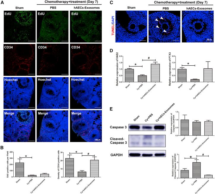 https://cdn.ncbi.nlm.nih.gov/pmc/blobs/8e1a/6479666/f5a58e09f757/gr3.jpg