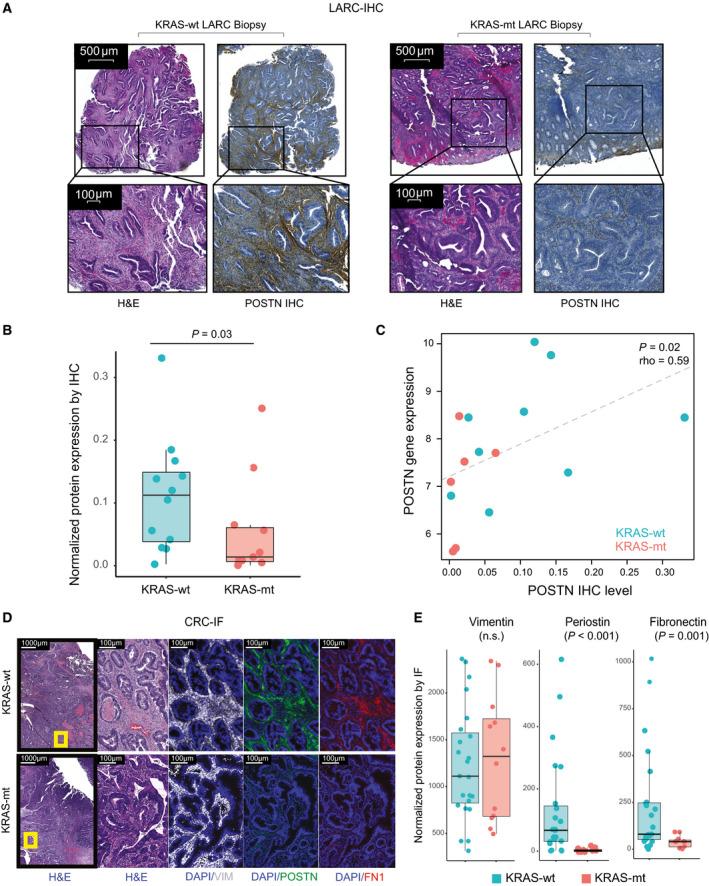 https://cdn.ncbi.nlm.nih.gov/pmc/blobs/8e1e/8486594/ddc060aac4bd/MOL2-15-2766-g004.jpg