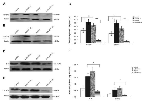 https://cdn.ncbi.nlm.nih.gov/pmc/blobs/8e21/2797501/09490eec4e84/1756-9966-28-150-3.jpg