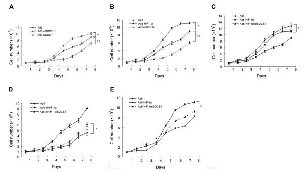 https://cdn.ncbi.nlm.nih.gov/pmc/blobs/8e21/2797501/270dfa0c9c18/1756-9966-28-150-4.jpg