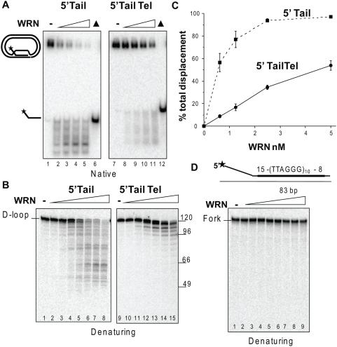 https://cdn.ncbi.nlm.nih.gov/pmc/blobs/8e22/2653227/7c96b508a49f/pone.0004825.g002.jpg