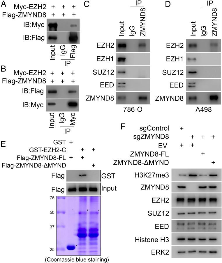 https://cdn.ncbi.nlm.nih.gov/pmc/blobs/8e23/7923384/e5a9bca68794/pnas.2019052118fig04.jpg
