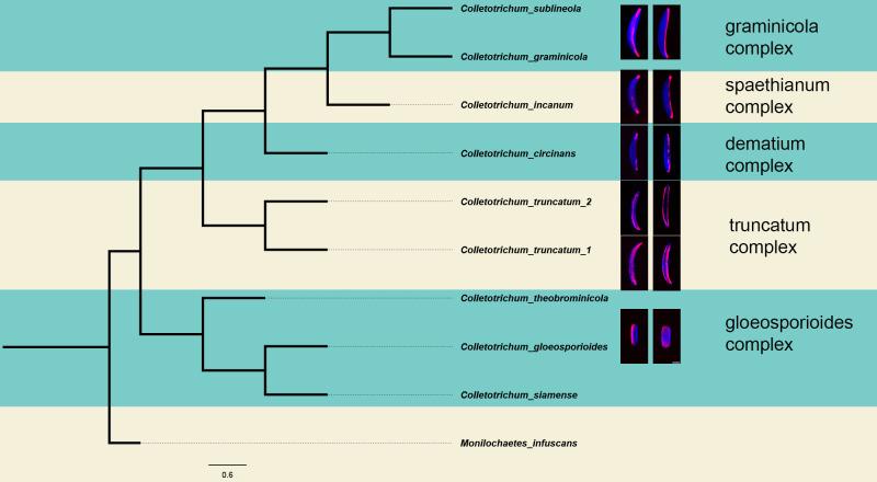 https://cdn.ncbi.nlm.nih.gov/pmc/blobs/8e24/11671520/c22d6ba667d1/ffunb-05-1481865-g004.jpg