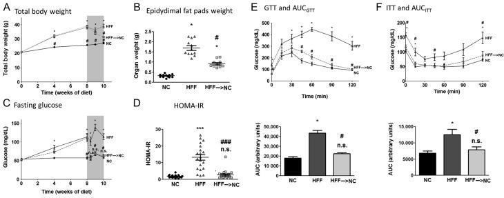 https://cdn.ncbi.nlm.nih.gov/pmc/blobs/8e24/5457504/4c2d17bdd447/joe-233-293-g001.jpg