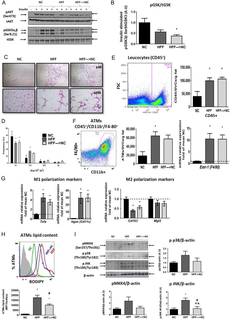 https://cdn.ncbi.nlm.nih.gov/pmc/blobs/8e24/5457504/cf91bbf76b01/joe-233-293-g003.jpg