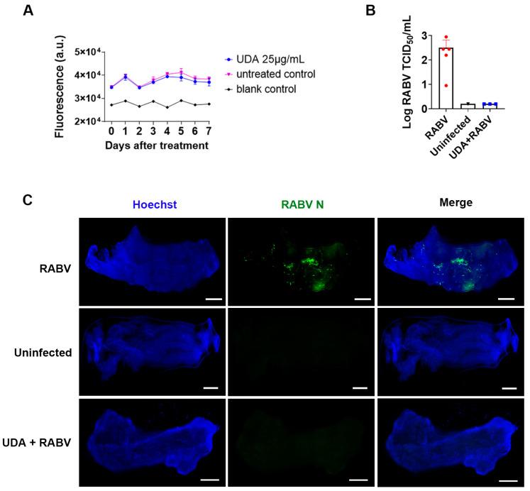 https://cdn.ncbi.nlm.nih.gov/pmc/blobs/8e29/10221701/76a147217154/pharmaceutics-15-01353-g005.jpg