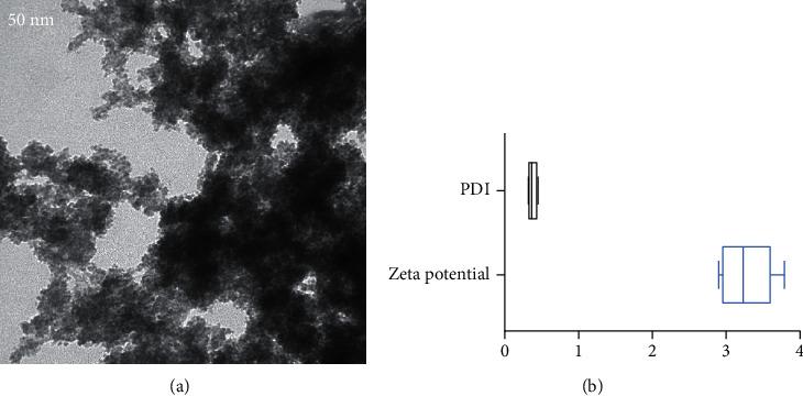 https://cdn.ncbi.nlm.nih.gov/pmc/blobs/8e2a/8817875/ea69f9e38731/CMMM2022-6088398.005.jpg