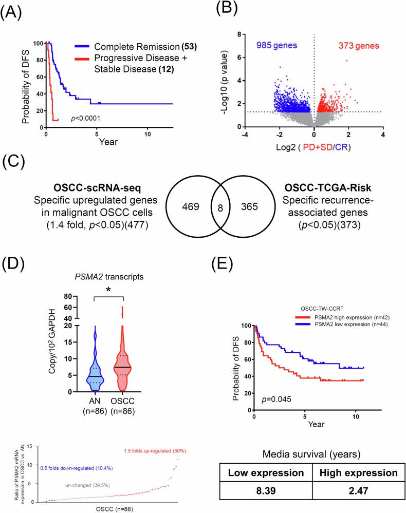 https://cdn.ncbi.nlm.nih.gov/pmc/blobs/8e2b/11724067/067daedc25fd/41420_2025_2286_Fig1_HTML.jpg