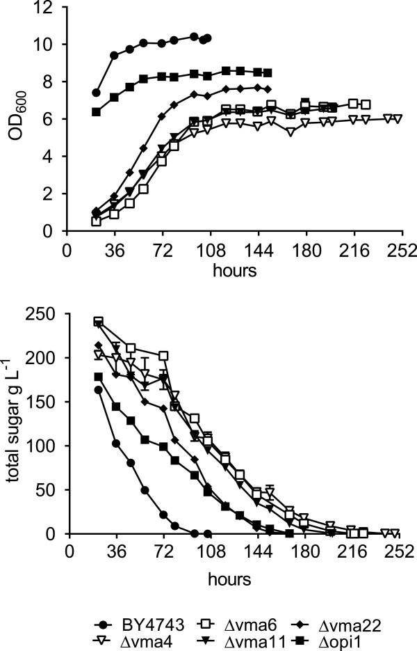 https://cdn.ncbi.nlm.nih.gov/pmc/blobs/8e2b/4099481/945bbdd06edd/12864_2013_6243_Fig5_HTML.jpg